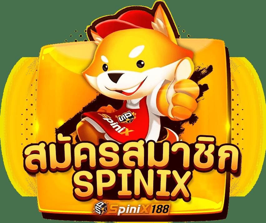 ตารางบอลวันนี้ อัปเดตแม่นยำ ดูผลสดทุกลีกในไทยและต่างประเทศ